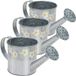 Allecto Arrosoir décoratif Argent Plastique/Métal 550 ml