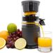 Livington JuiceBoost - draagbare sapcentrifuge op batterijen - 250 ml opvangbak - snoerloos - kleine sapcentrifuge - sapcentrifuge om mee te nemen - slow juicer voor fruit en groenten - vruchtensap