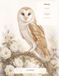 Owls in Bloom: A Guided Watercolor Coloring Book