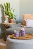 Yankee Candle Stargazing Geurkaars Cilinder Paars Bloemen 1 stuk(s)