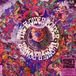 Flower Power - Flower Power (LP)