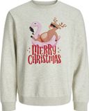 JACK&JONES JJCHRISTMAS SWEAT CREW NECK JNR Jongens Sweaters Wit Melange