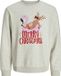 JACK&JONES JJCHRISTMAS SWEAT CREW NECK JNR Jongens Sweaters Wit Melange