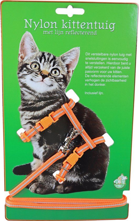 Gebr. de Boon Kittentuig nylon met lijn neon oranje reflecterend
