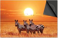 Dietrix Inductie Beschermer - 60x52cm - Zebras Zonsondergang Afrika