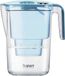 BWT Vida filtre à eau de table incl. 1 cartouche filtrante d'eau minéralisée au magnésium I compteur manuel I 2,6 litres I Petrol