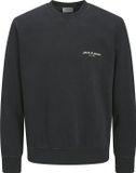 JACK & JONES JJEDOVER PRINT SWEAT CREW NECK PLS Pull pour homme