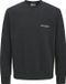 JACK & JONES JJEDOVER PRINT SWEAT CREW NECK PLS Pull pour homme