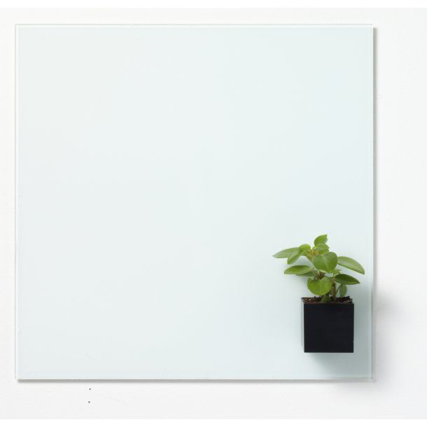 NAGA Magnetisch Opbergbox - Zwart - 6x6x6cm - Voor Glasoppervlakken