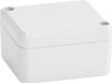 Bopla EUROMAS T 206 63206000 Industriële behuizing 65 x 50 x 37 ABS Lichtgrijs 1 stuk(s)