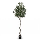IvoQ Kunst Olijfboom 210 cm - Realistische XL Kunstplant met Olijven