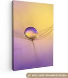 OneMillionCanvasses Canvas schilderij - Druppel Bloemen Close up - 60x90 cm