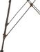 Safavieh Set van 2 tuinstoelen Lockhart, rotan, donkerbruin