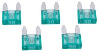 Dresselhaus Mini Flat Fuse 30A Light Green / 5 pcs.