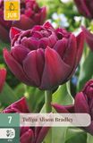 Jub Tulipa Alison Bradley bloembol JUB 7 stuks