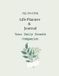 All-in-One Libri GmbH All-in-One Life Planner and Jurnal