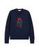 Tommy Hilfiger Trui navy / groen / rood