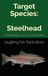Target Steelhead: Chasing Rainbows Across America’s Waters
