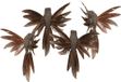 House of Seasons Kolibries vogels op clip - 4x st - bruin