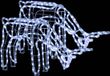 vidaXL Kerstverlichting rendieren 2 st 73x31x45 cm koudwit