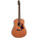 Seagull Coastline Momentum HG A/E guitare western électro-acoustique