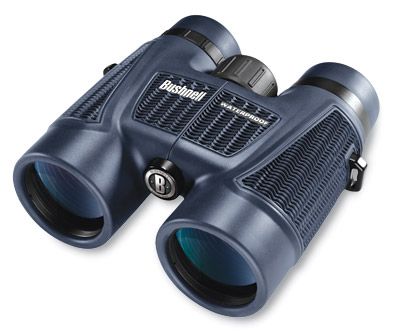 Bushnell H2O 10x42mm - Verrekijker - Blauw