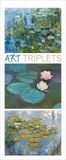 Art Korsch Art Triplets 2027