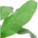 Bananier artificiel 9 feuilles 120 cm vert