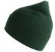 Atlantis Headwear Pure Beanie Bottle Green One Size