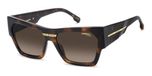 Carrera VICTORY C 19/S Havana Zonnebrillen Vrouwen