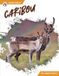 Caribou Apex Hoofing It- Caribou
