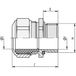 LAPP 52032665 SKINDICHT SM CRNI M 50X1,5 Met contramoer M50 x 1.5 M50 M50 Nikkel, Staal Nikkel 10 stuk(s)