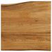 VidaXL Tafelblad met natuurlijke rand 40x40x3,8 cm massief mangohout