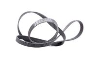 CONTITECH 6PK2160 V-riem