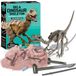 4M Kidz Labs Dig a Velociraptor Skeleton