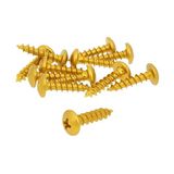 Schroevenset 12 stuks bekleding goud - 5x20