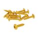Schroevenset 12 stuks bekleding goud - 5x20