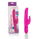 CalExotics Bounding Bunny