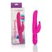 CalExotics Bounding Bunny