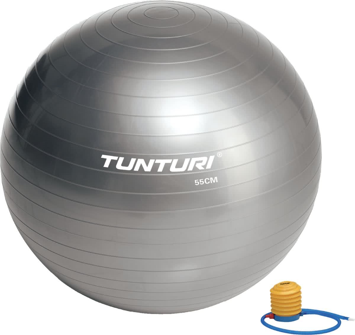 Tunturi Gymball 55cm - Zilver