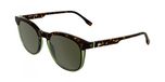 Lacoste L6073S Havana/transparent light green 52/19/145 HOMME Lunettes de soleil