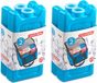 Plasticforte kleine koelelementen - 4 stuks - blauw - 11 x 5.5 cm