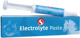 Sectolin Electrolyte Pasta - 30 ML
