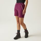 Regatta Short Dames Lichtgewicht Ademend Roze Polyester Vrouwen Maat 40