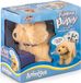 Tobar Flipping Puppy walking Labrador