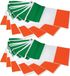 Merkloos / Sans marque Bristol Novelty Ierland vlaggenlijn/vlaggetjes - 4x stuks - Ierse vlag - 7 meter - plastic - landen thema versiering