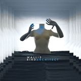 PIAS Nederland Wallis Bird - Architect (2 LP)