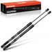 Frankberg 2 x gasveer demper achterklep compatibel met M.i.n.i Countryman Cooper R60 Combi 2010-2016 vervanging # 51249801386