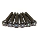 Graphtec PP-2182-00 TUSQ Traditional Style Bridge Pins noir avec incrustation en abalone paua (lot de 6)