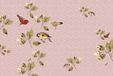 AS Creation Papier peint brillant Oiseaux1 DD114322 Murs par Patel | Papier peint 3D